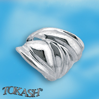 Silver ring 1534689