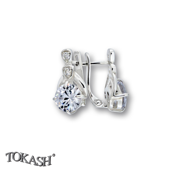 Silver Earings stones 137332