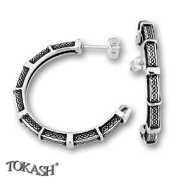 Silver Earings stone 131229