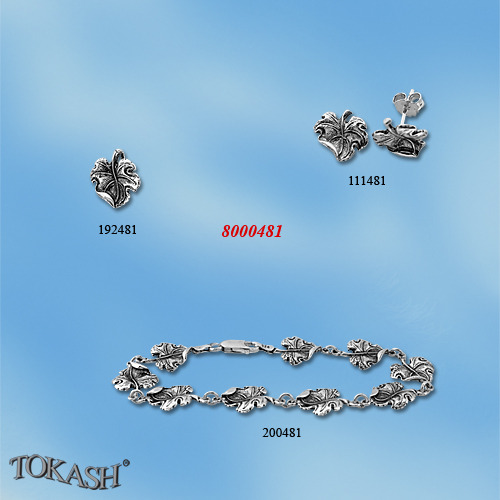 Medium set with bracelet 8000481