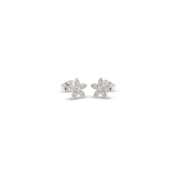 silver earrings 120277