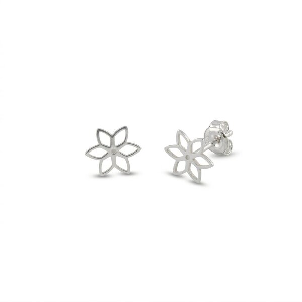 silver earrings 601038
