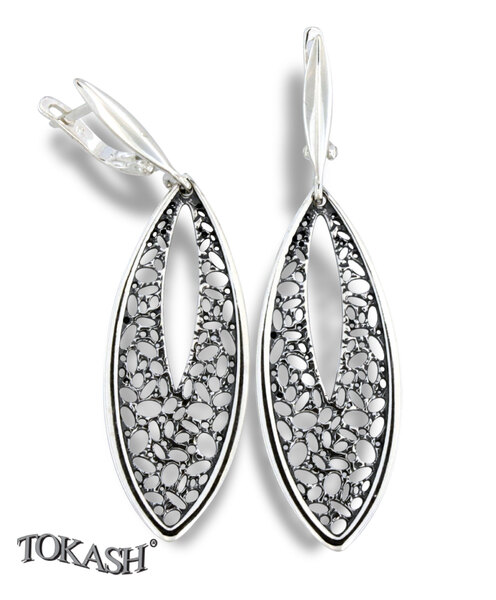 Silver Earings stones 136257