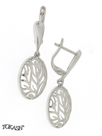 Silver Earings stones 128080