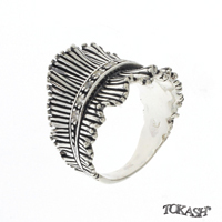 Silver ring stones 1615294