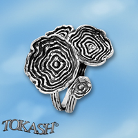 Silver ring 1545944