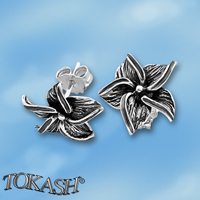 Silver Earings stones 111940