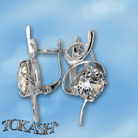 Silver Earings with stone 121489