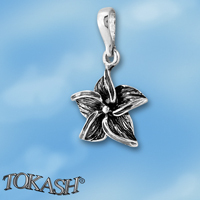 silver pendant 192940