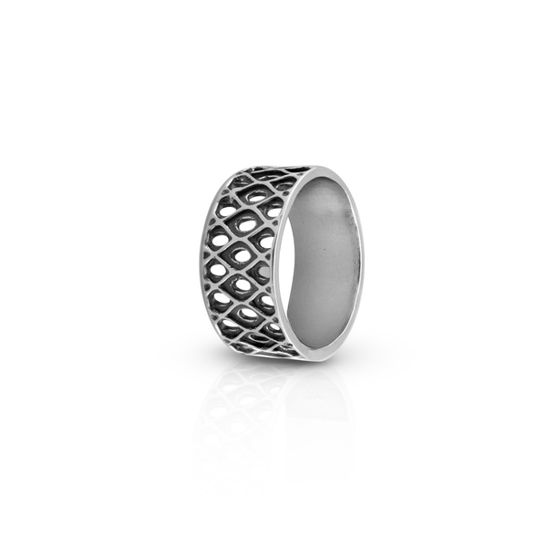 Silver ring stones 1666485