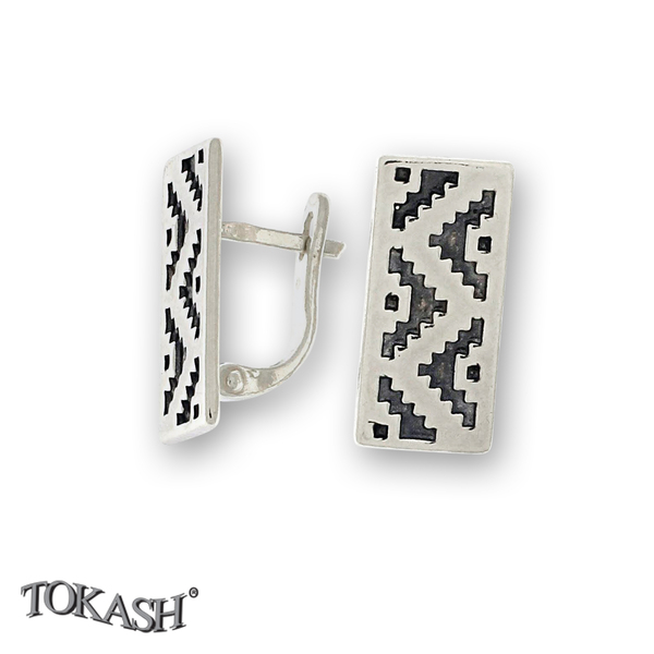 Silver Earings stones 133075