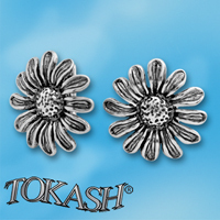Silver Earings stones 132903