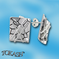 Silver Earings stones 136797