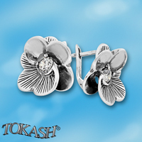Silver Earings with stones 130911