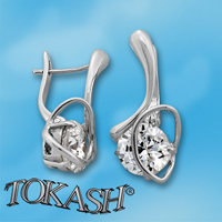 Silver Earings with stone 121925
