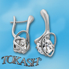 Silver Earings with stone 121925