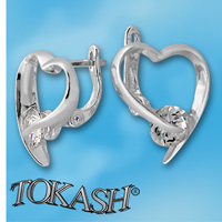 Silver Earings with stone 121924