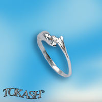 Silver ring stones 1574707