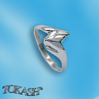 Silver ring stones 1574702