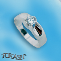 Silver ring stones 1604503