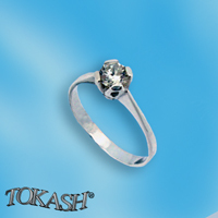 Silver ring stones 1604246