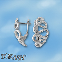 Silver Earings stones 133979