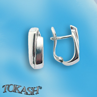 Silver Earings stones 133143