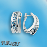 Silver Earings stones 132086