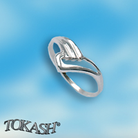 Silver ring stones 1574704