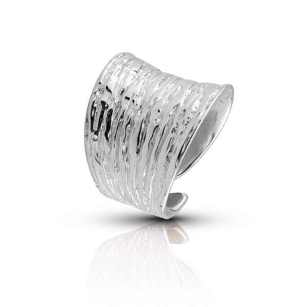 Silver ring 1516367