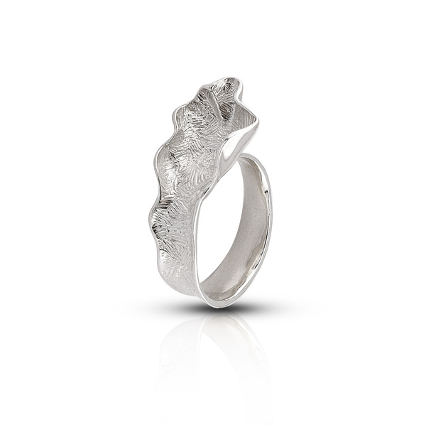 Silver ring 1546370