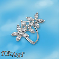 Silver ring stones 1626066