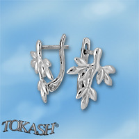 Silver Earings stones 133526