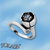 Silver ring stones 1625965
