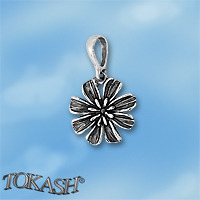 silver pendant 192525