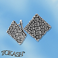 Silver Earings stone 131991